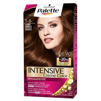 Intense Color Cream Tinte Cabello Nº 5.6 Castaño Caramelo  1ud.-145400 Intense Color Cream Tinte Cabello Nº 5.6 Castaño Caramelo  1ud.-145400 0